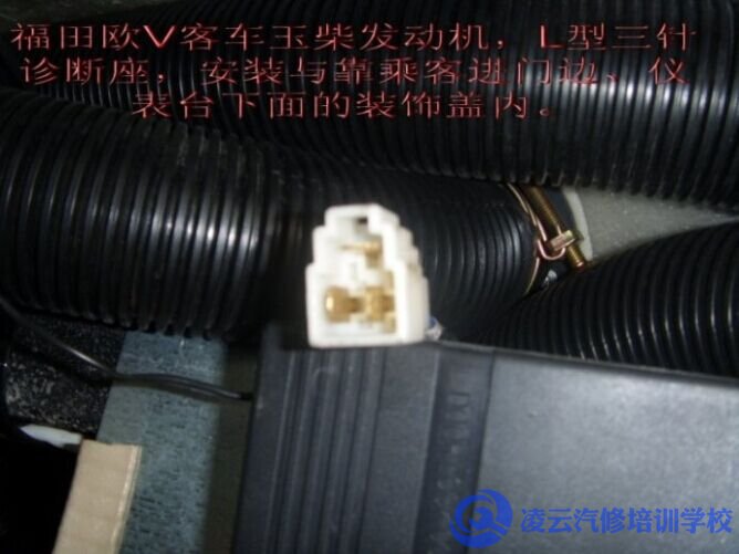 柴油电控培训