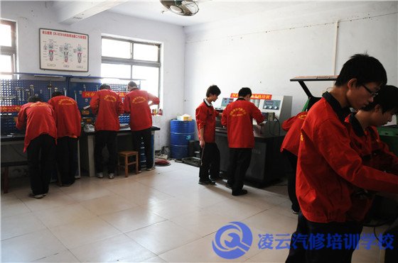 柴油电控培训